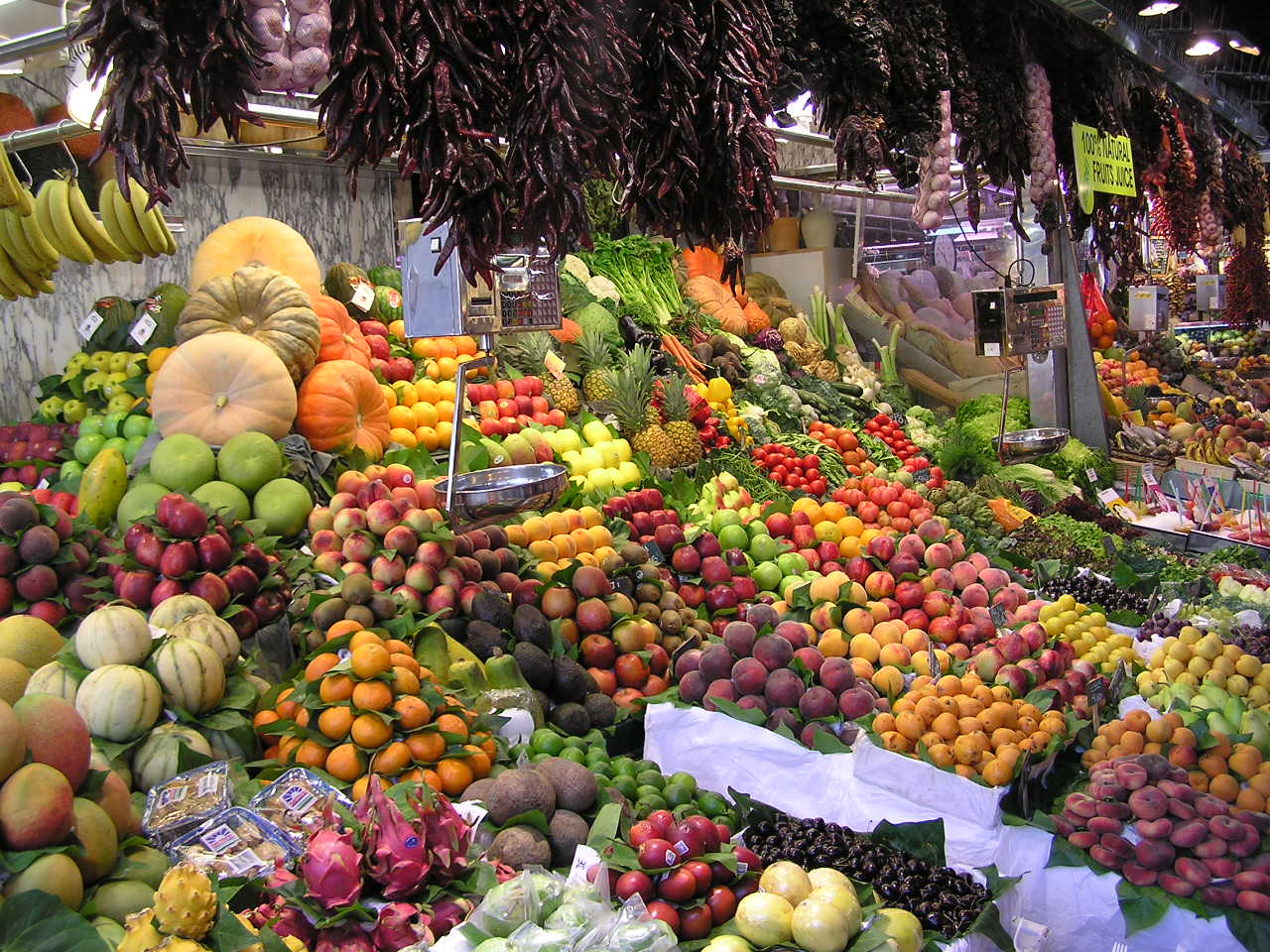 A bunch of stuff to share:Info on Vitamin C Info on an upcoming BOOK…